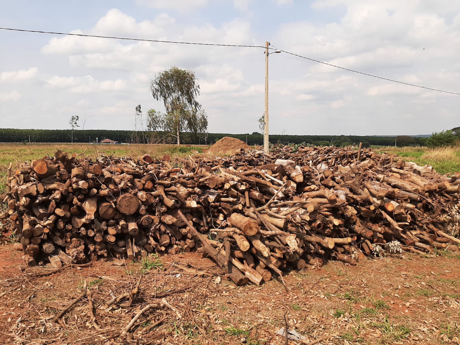 WhatsApp Image 2025-01-06 at 15.48.41 (1).jpeg